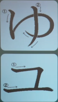yu.png